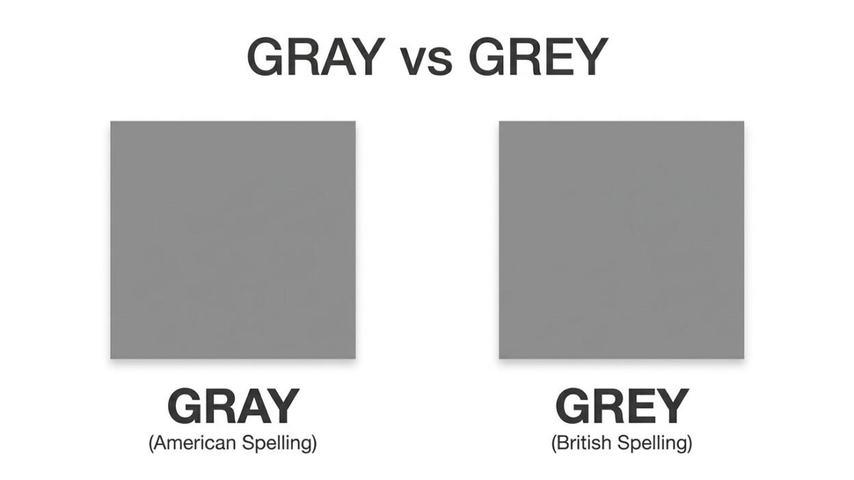 grey or gray