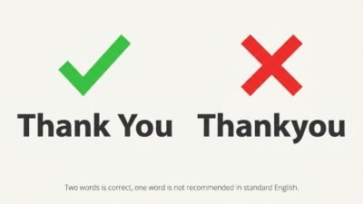 thankyou or thank you